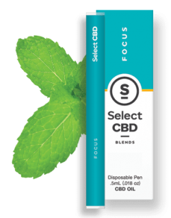 BLENDS .5 - SPEARMINT - FOCUS